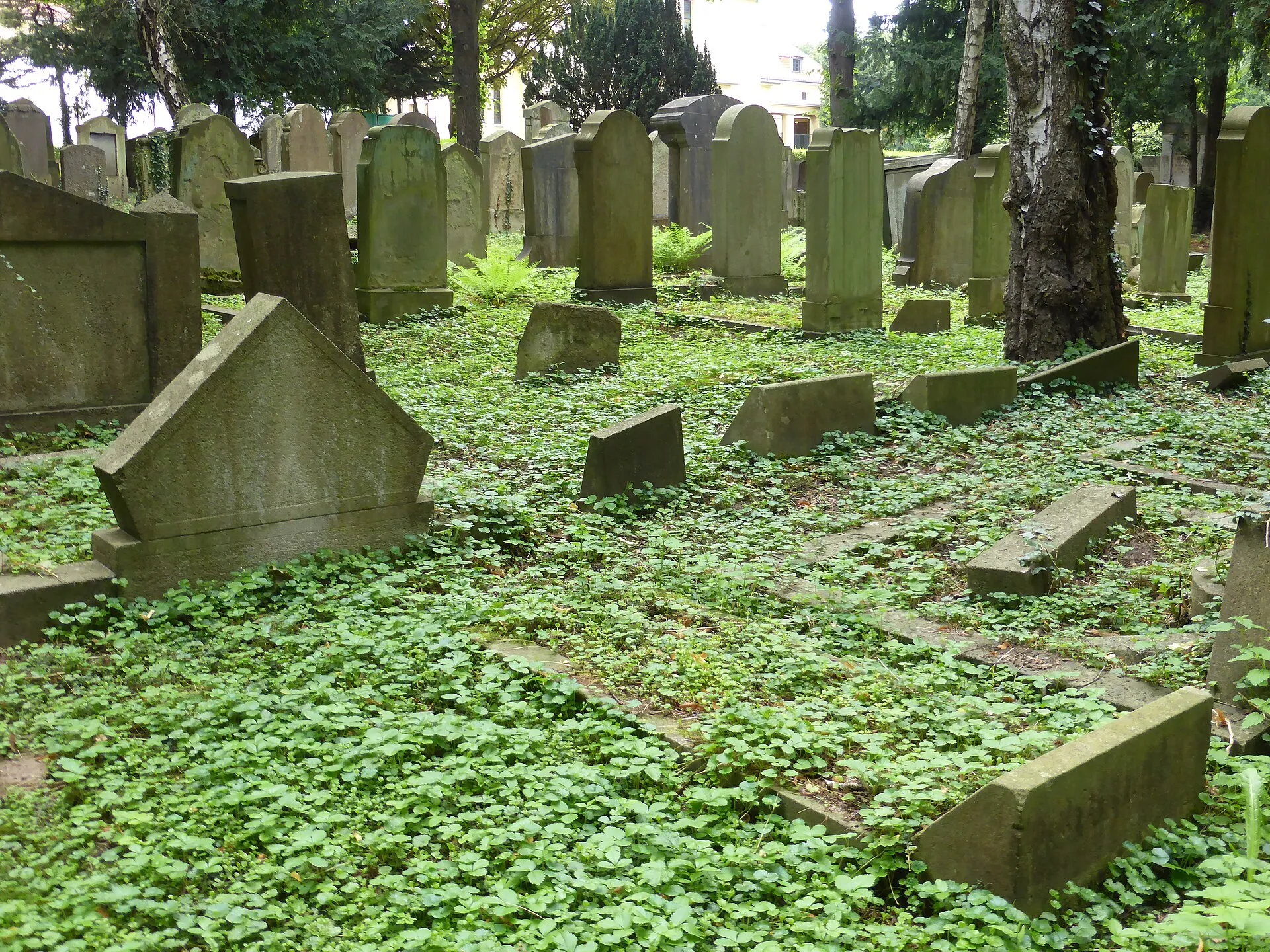 Jüdischer Friedhof Köln-Bocklemünd - Gräberfelder.