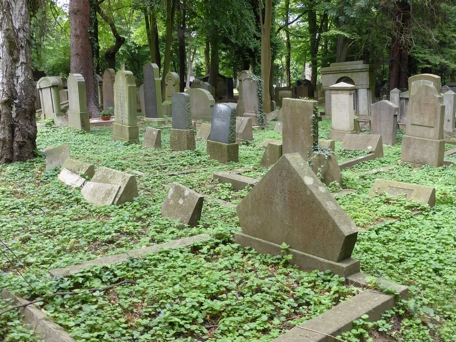 Jüdischer Friedhof Köln-Bocklemünd - Gräberfelder.