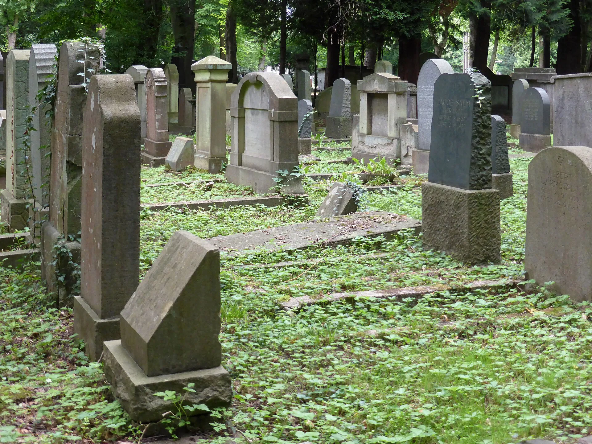 Jüdischer Friedhof Köln-Bocklemünd - Gräberfelder.