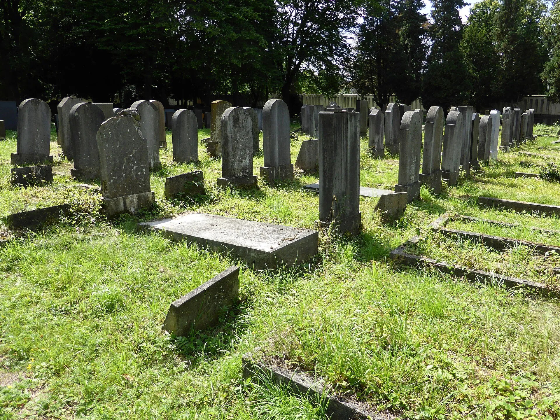 Jüdischer Friedhof Köln-Bocklemünd - Gräberfelder.