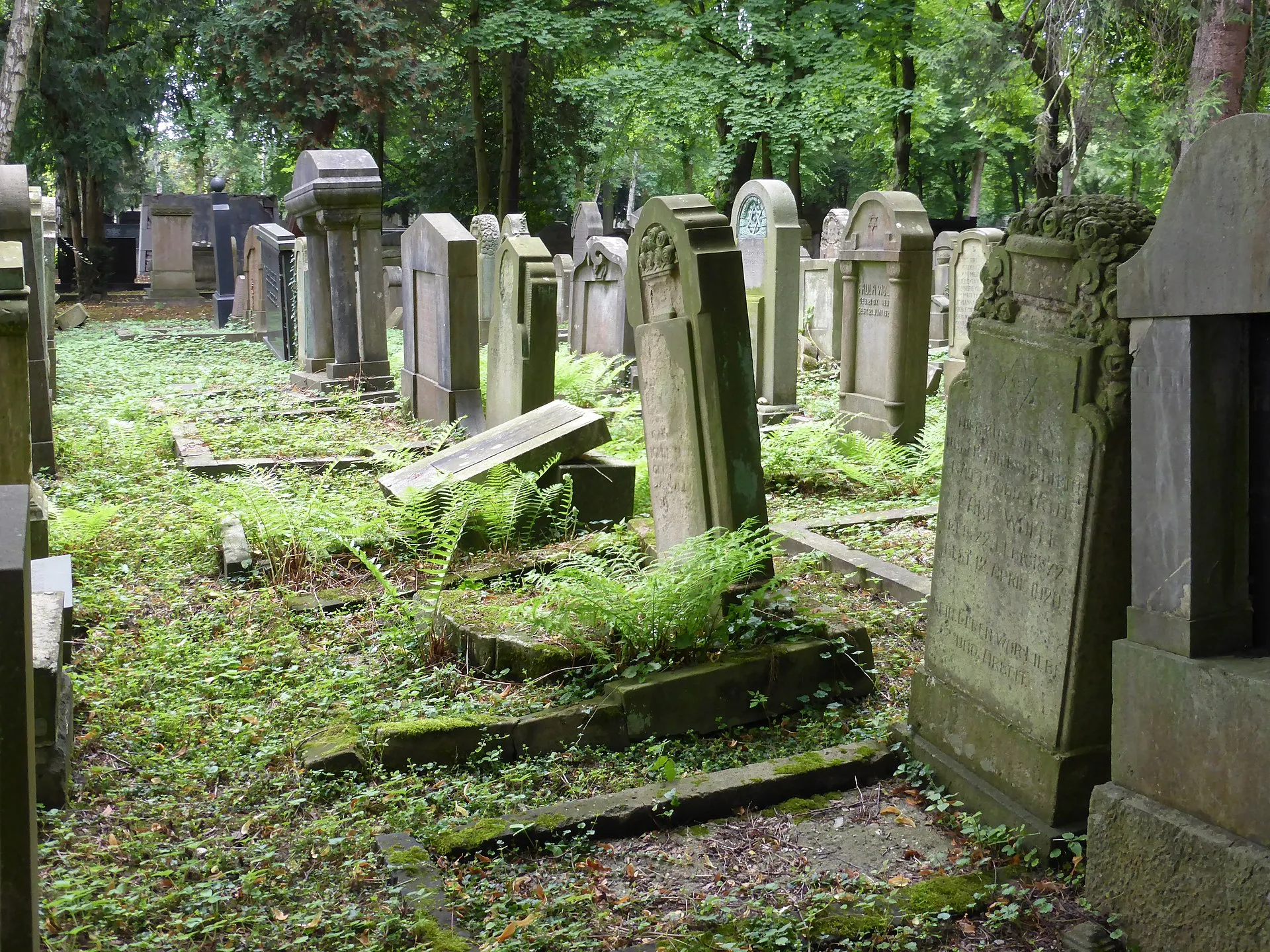Jüdischer Friedhof Köln-Bocklemünd - Gräberfelder.