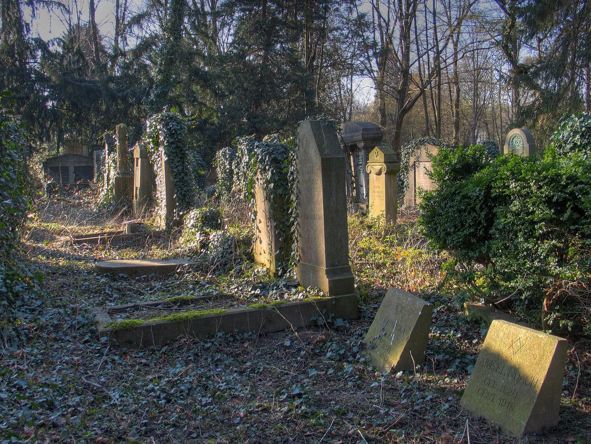 Jewish cemetery in Cologne-Bocklemünd