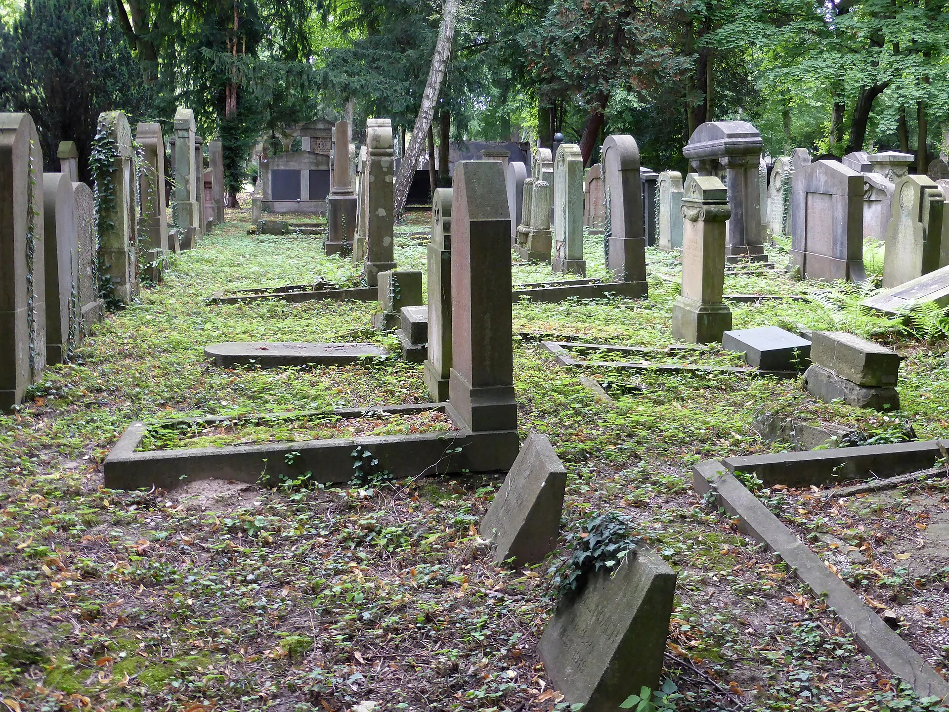 Jüdischer Friedhof Köln-Bocklemünd - Gräberfelder.