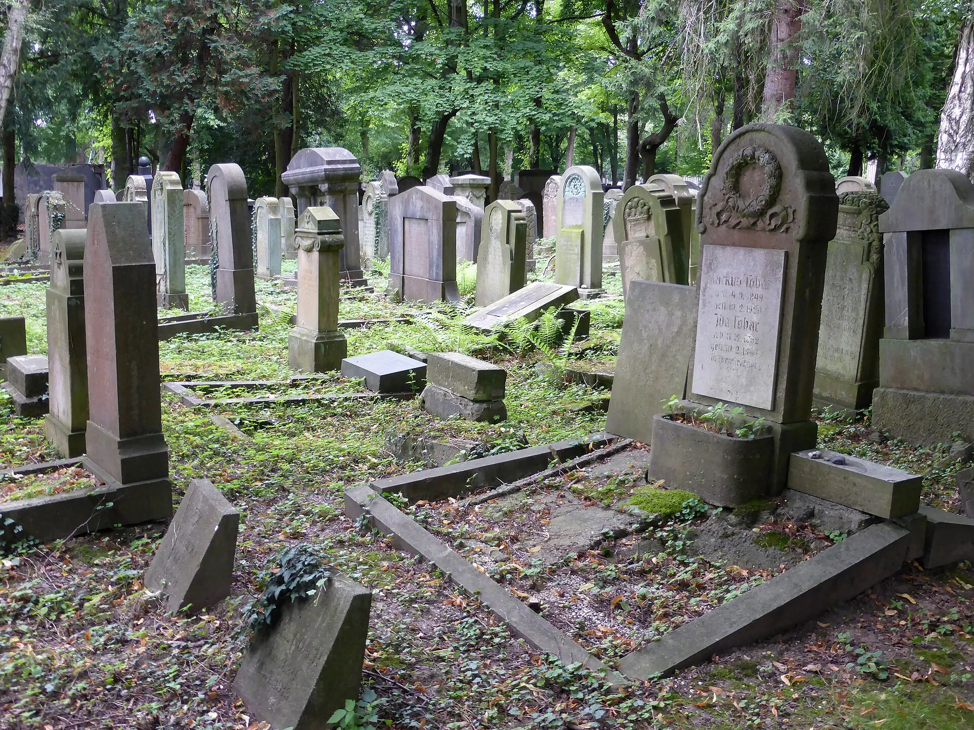 Jüdischer Friedhof Köln-Bocklemünd - Gräberfelder.