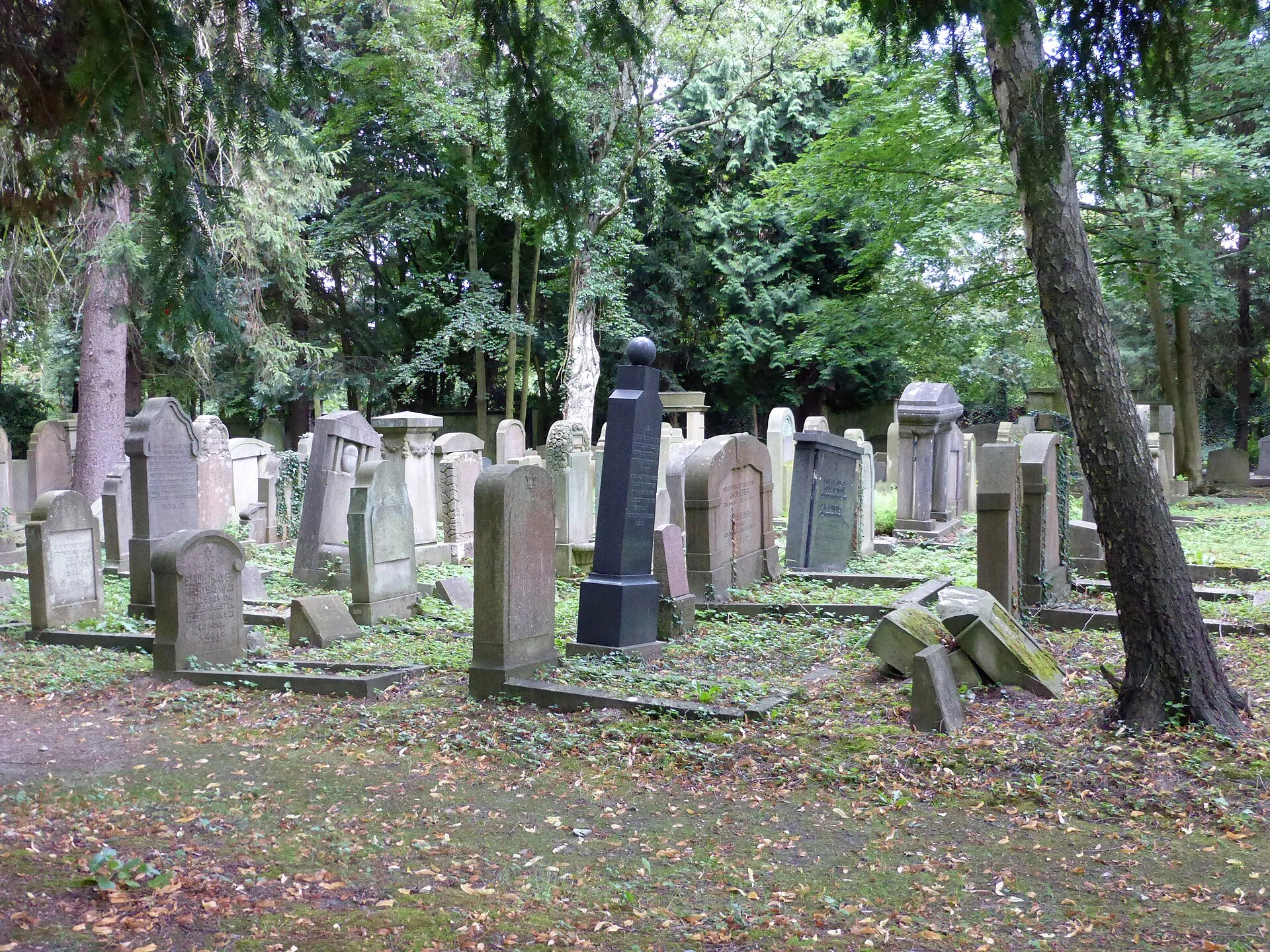 Jüdischer Friedhof Köln-Bocklemünd - Gräberfelder.