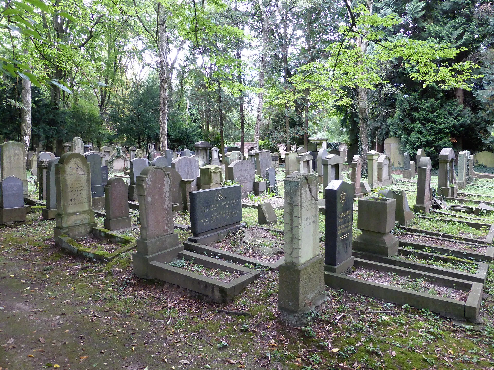 Jüdischer Friedhof Köln-Bocklemünd - Gräberfelder.