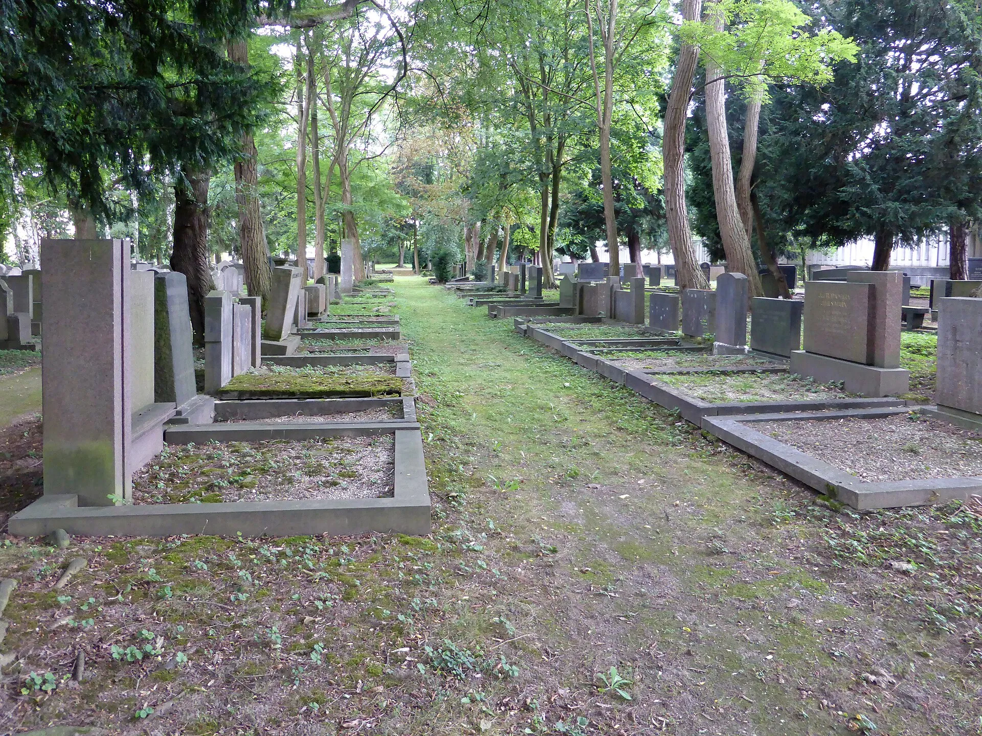 Jüdischer Friedhof Köln-Bocklemünd - Gräberfelder.
