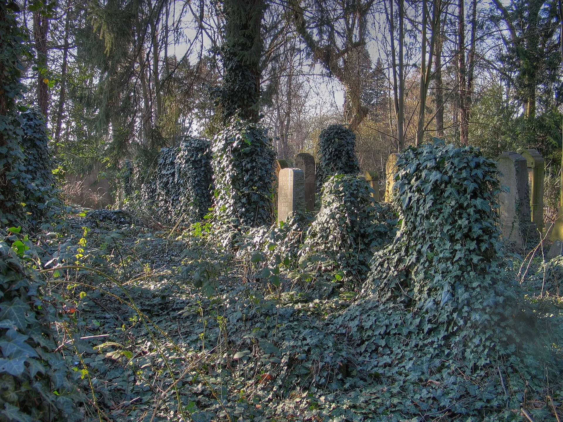 Jewish cemetery in Cologne-Bocklemünd