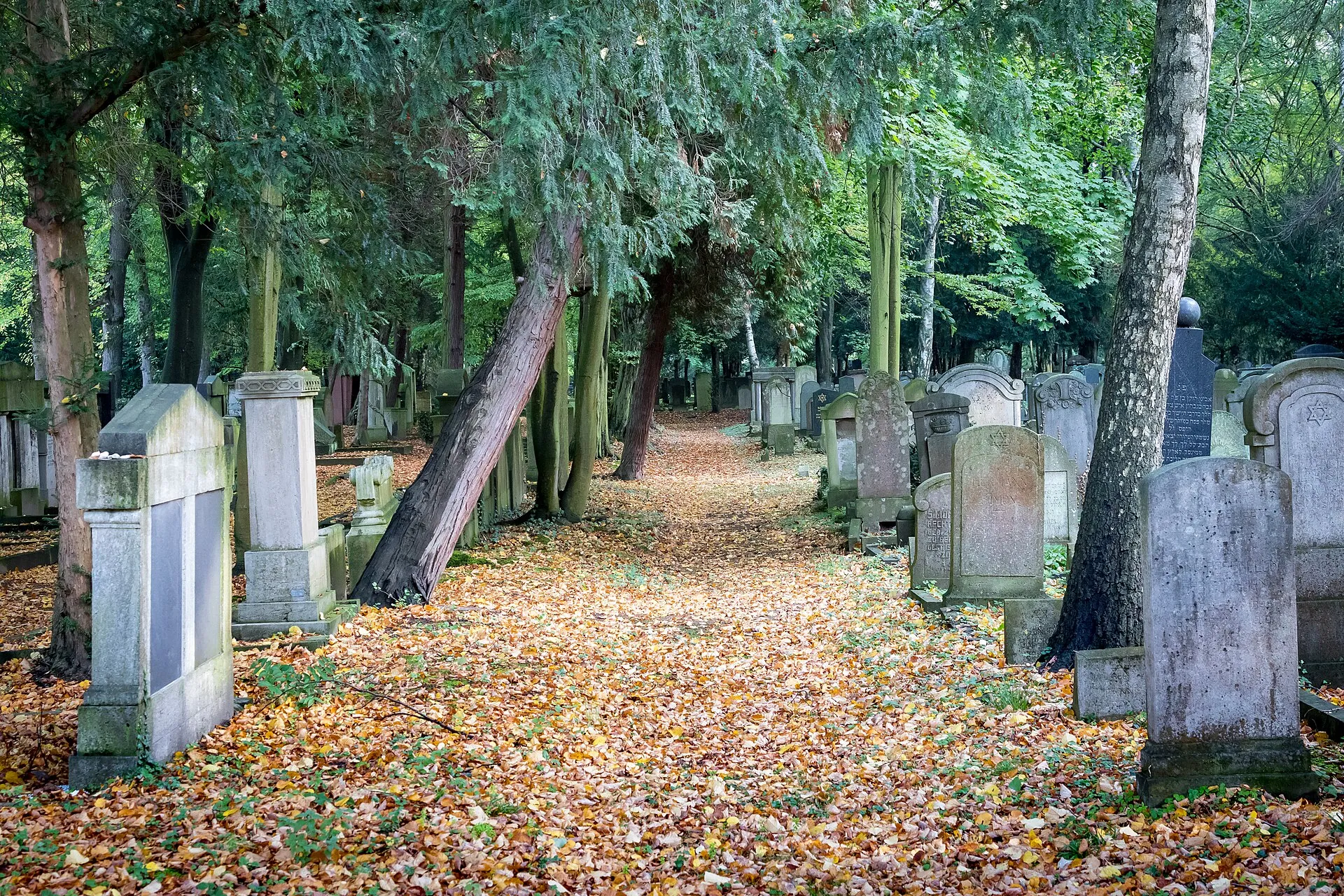 Jüdischer Friedhof Köln-Bocklemünd