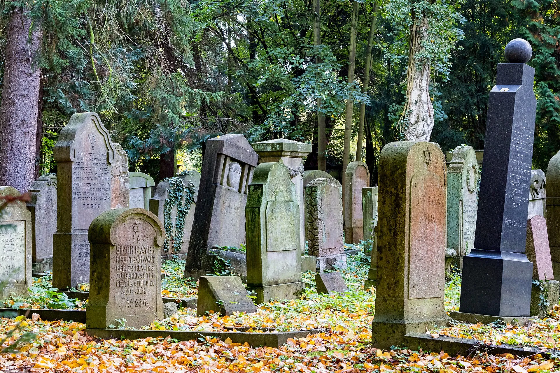 Jüdischer Friedhof Köln-Bocklemünd