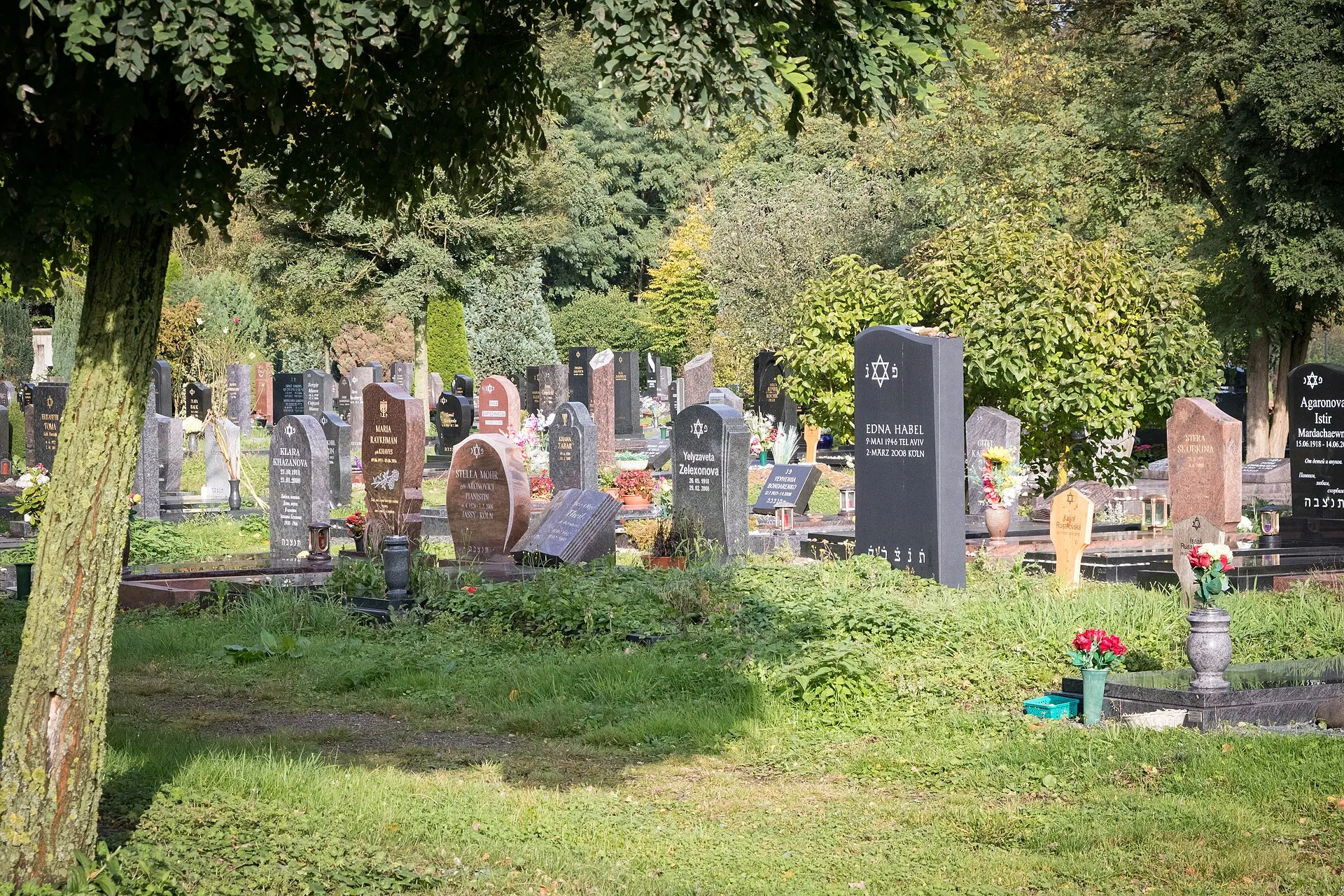 Jüdischer Friedhof Köln-Bocklemünd; Jüngeres Gräberfeld im Norden der Anlage