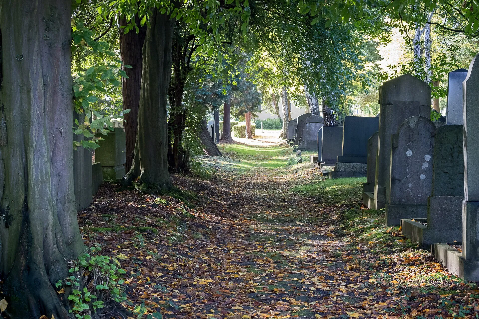 Jüdischer Friedhof Köln-Bocklemünd