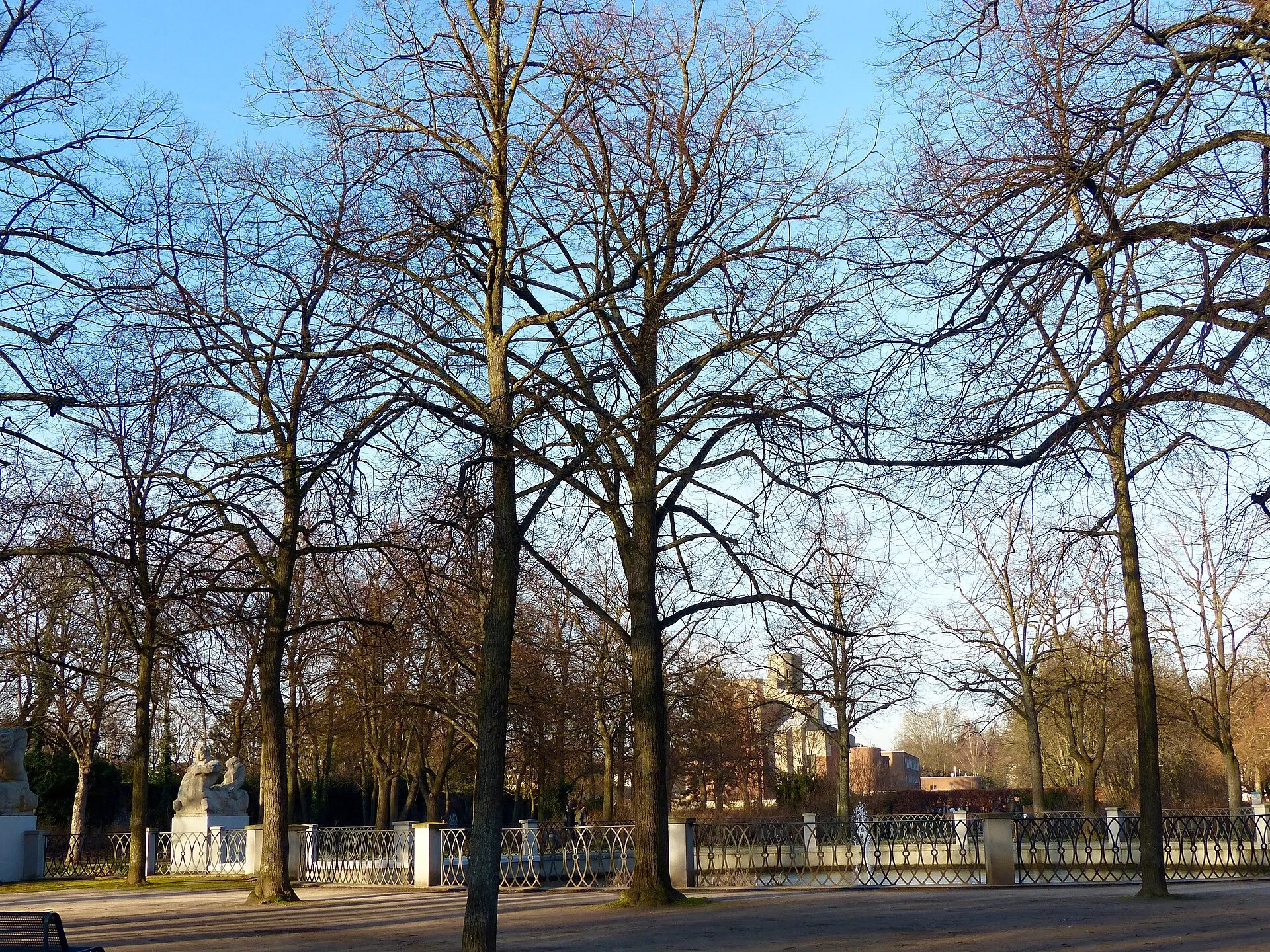 Köln-Lindenthal: Karl-Schwering-Platz