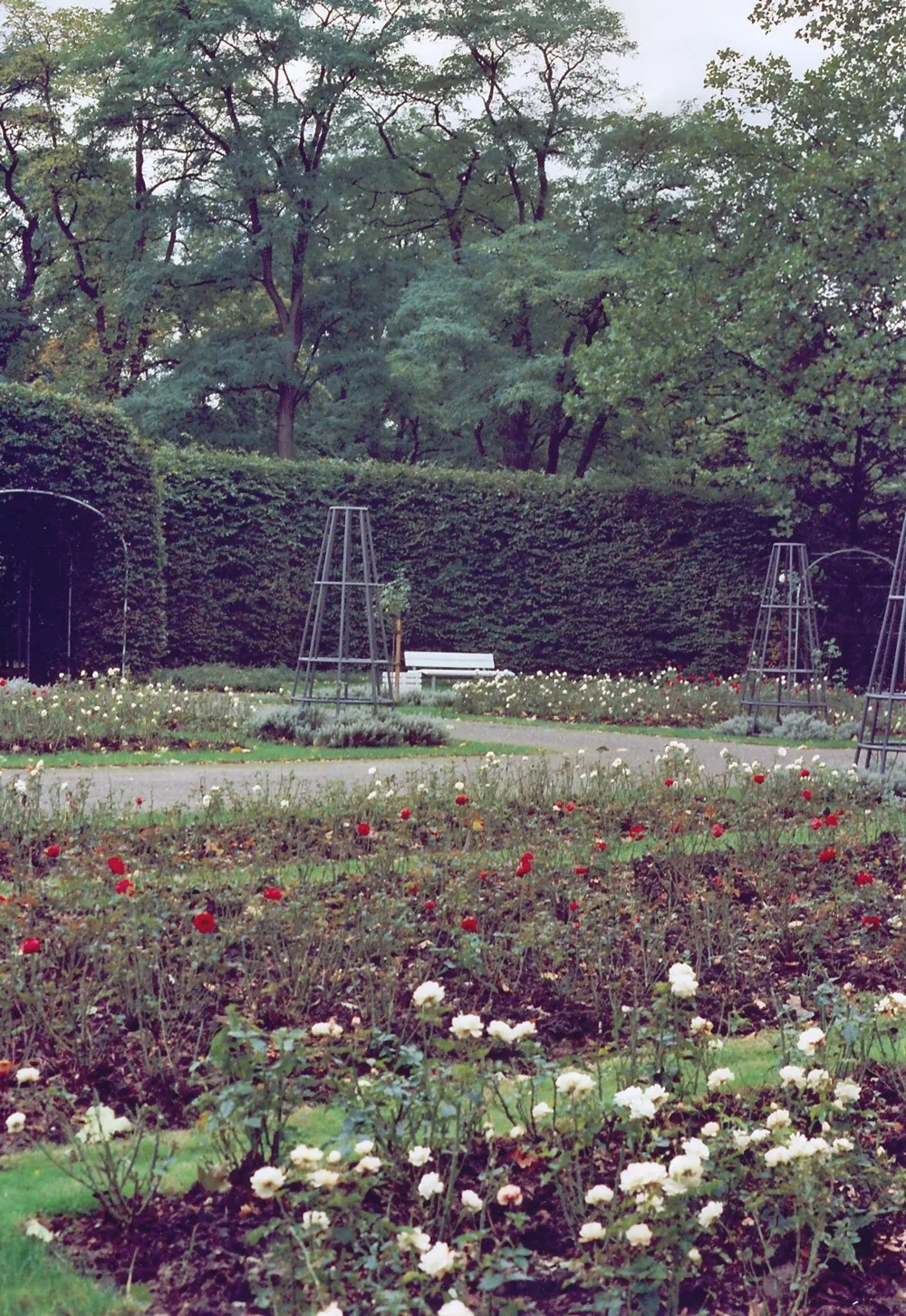 Klettenbergpark Rosengarten, Köln-Klettenberg