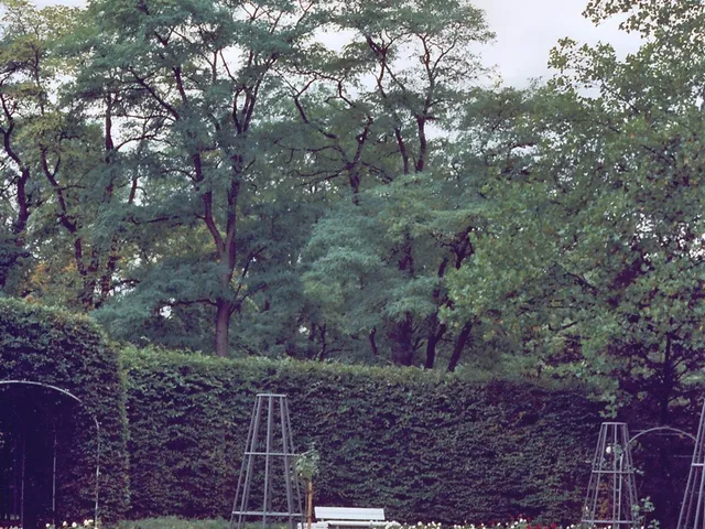 Klettenbergpark