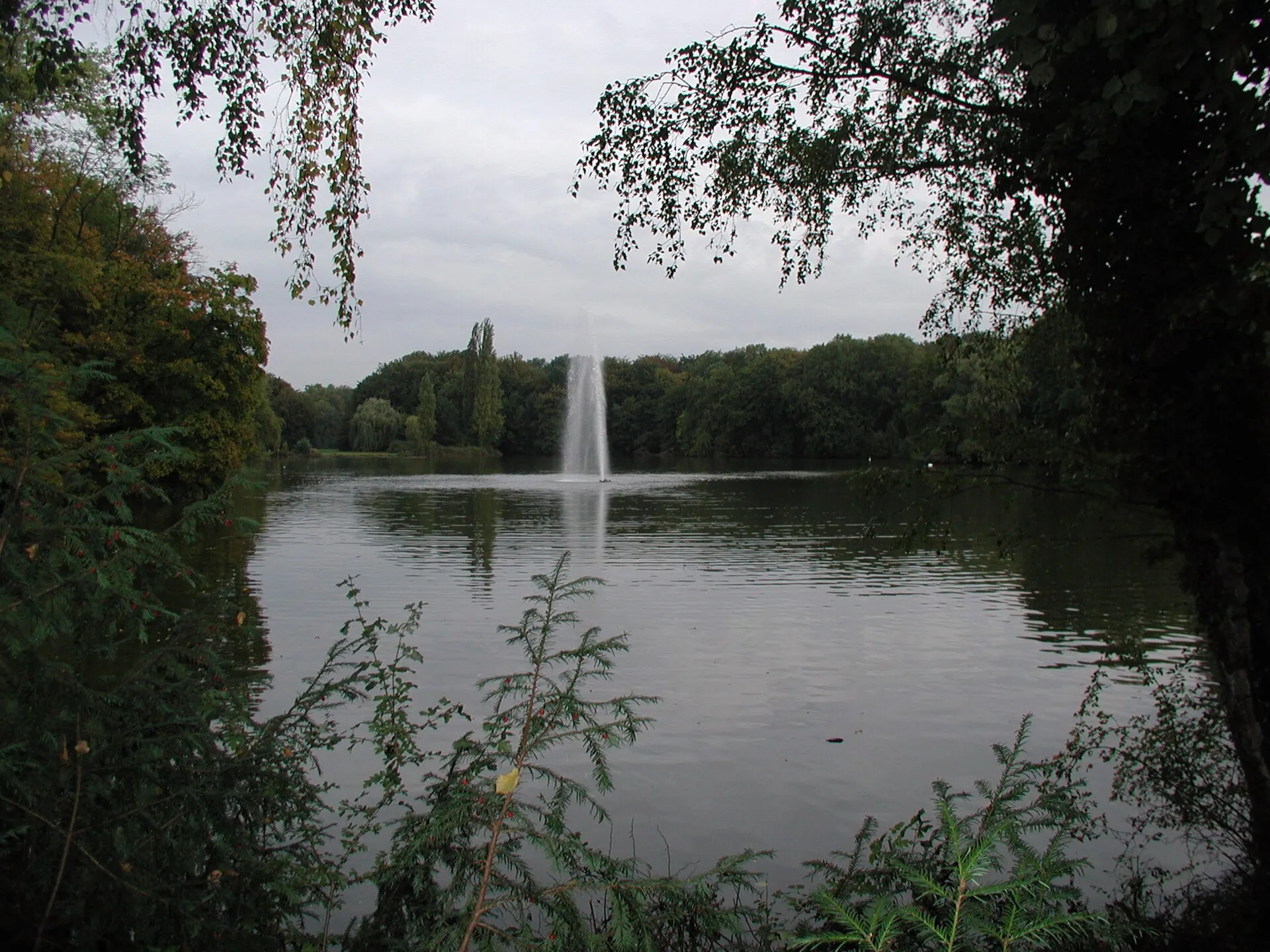 Kölner Stadtwald