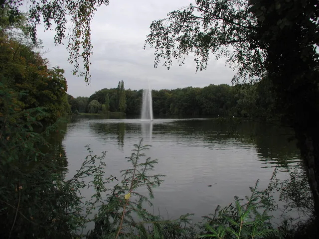 Cologne City Forest