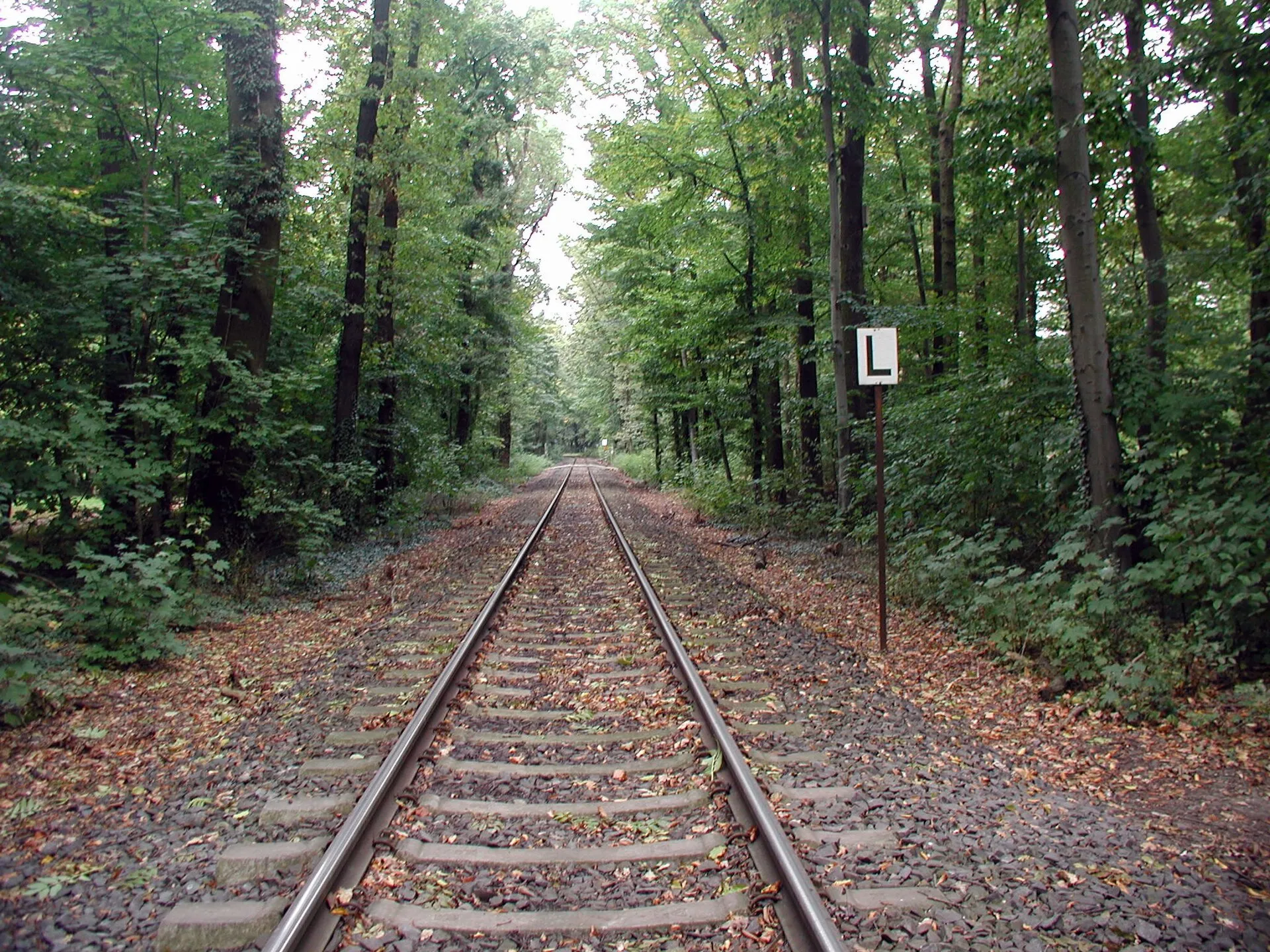 Köln, HKG-Trasse im Kölner Stadtwald