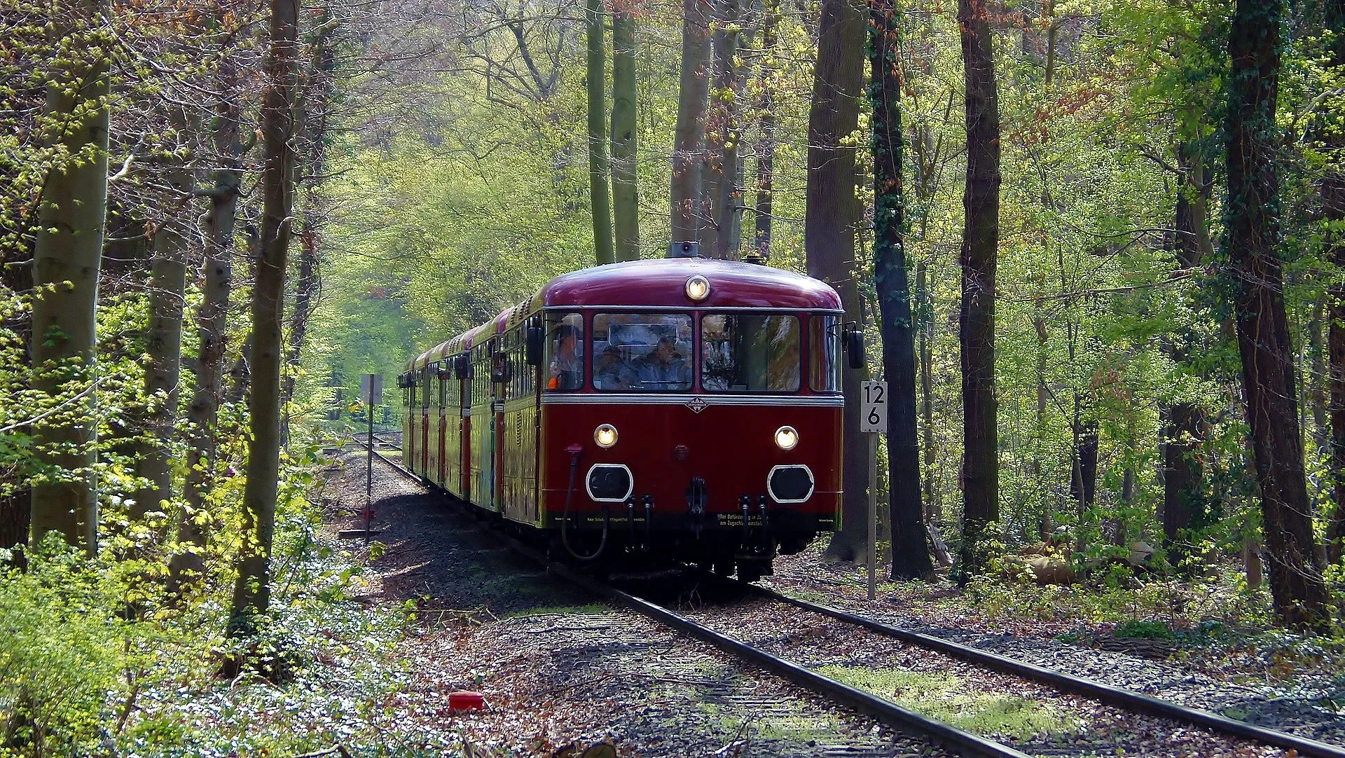 Uerdinger Schienenbus im Stadtwald