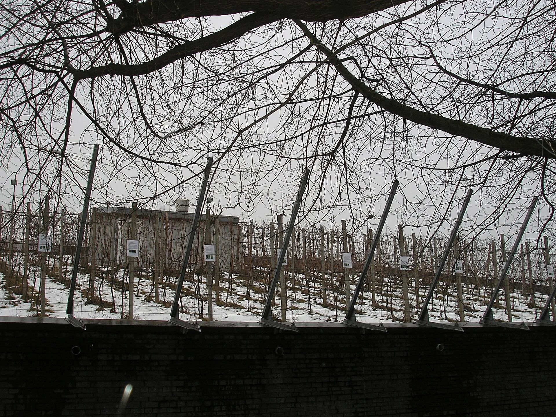 Kölner Weinmuseum