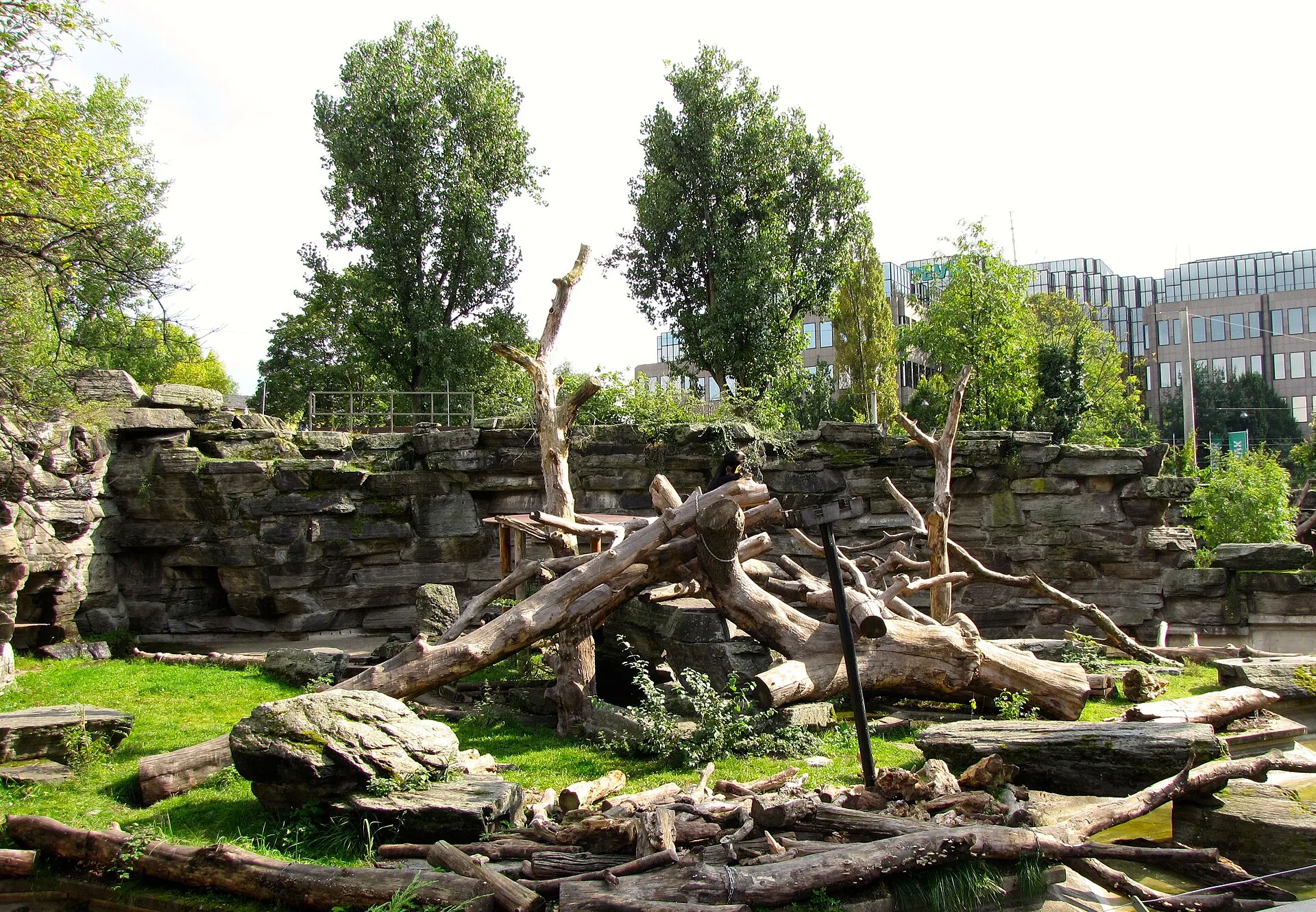Kölner Zoo: Bärenfreianlage (Architekt: Kurt Meywald) errichtet 1969. Heute bewohnt von Malaienbären (Helarctos malayanus)
