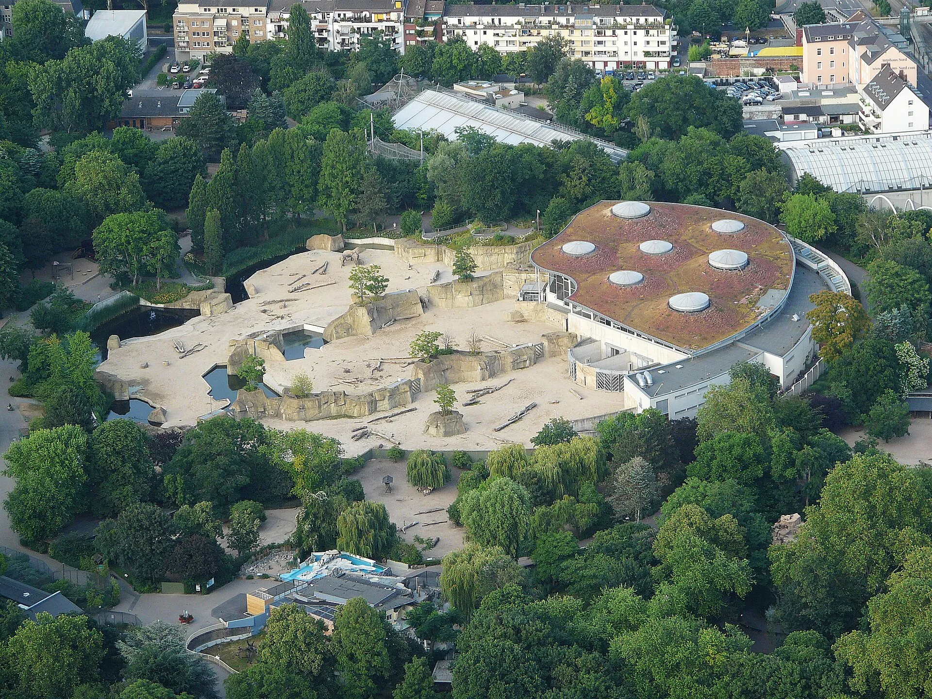 Kölner Zoo