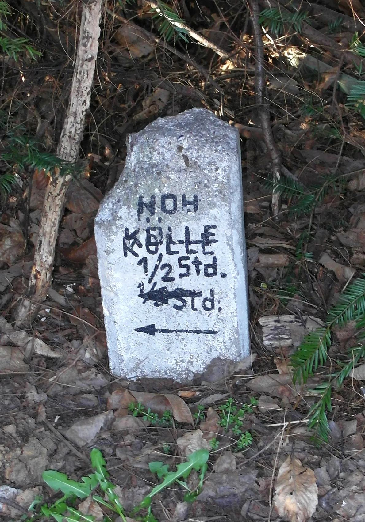 Kölsch (Sprache)