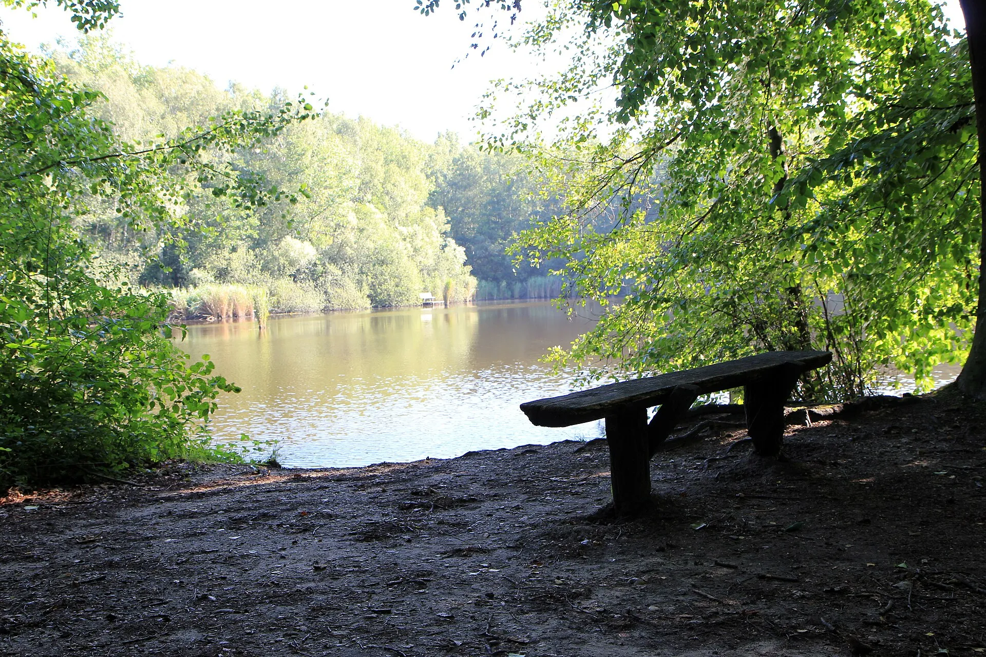 Liblarer See