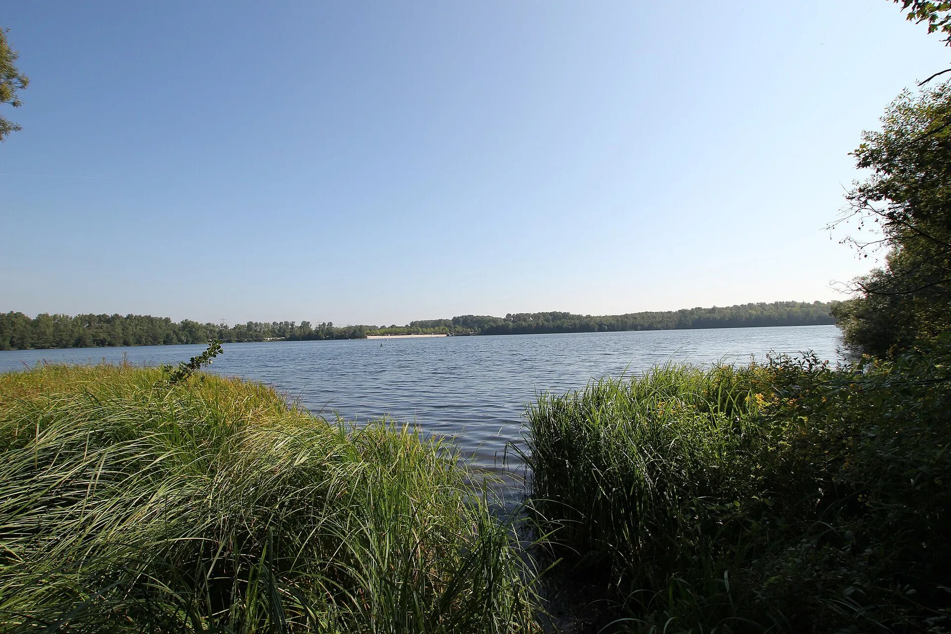 Liblarer See
