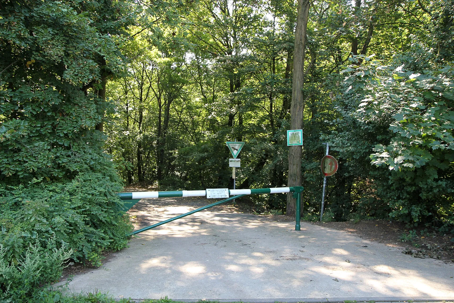 Liblarer See