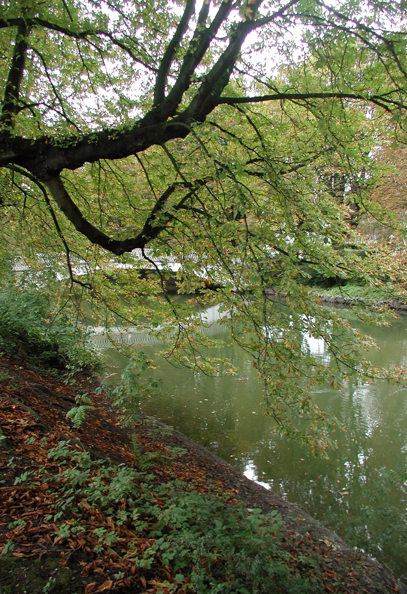 Koeln-Lindenthal