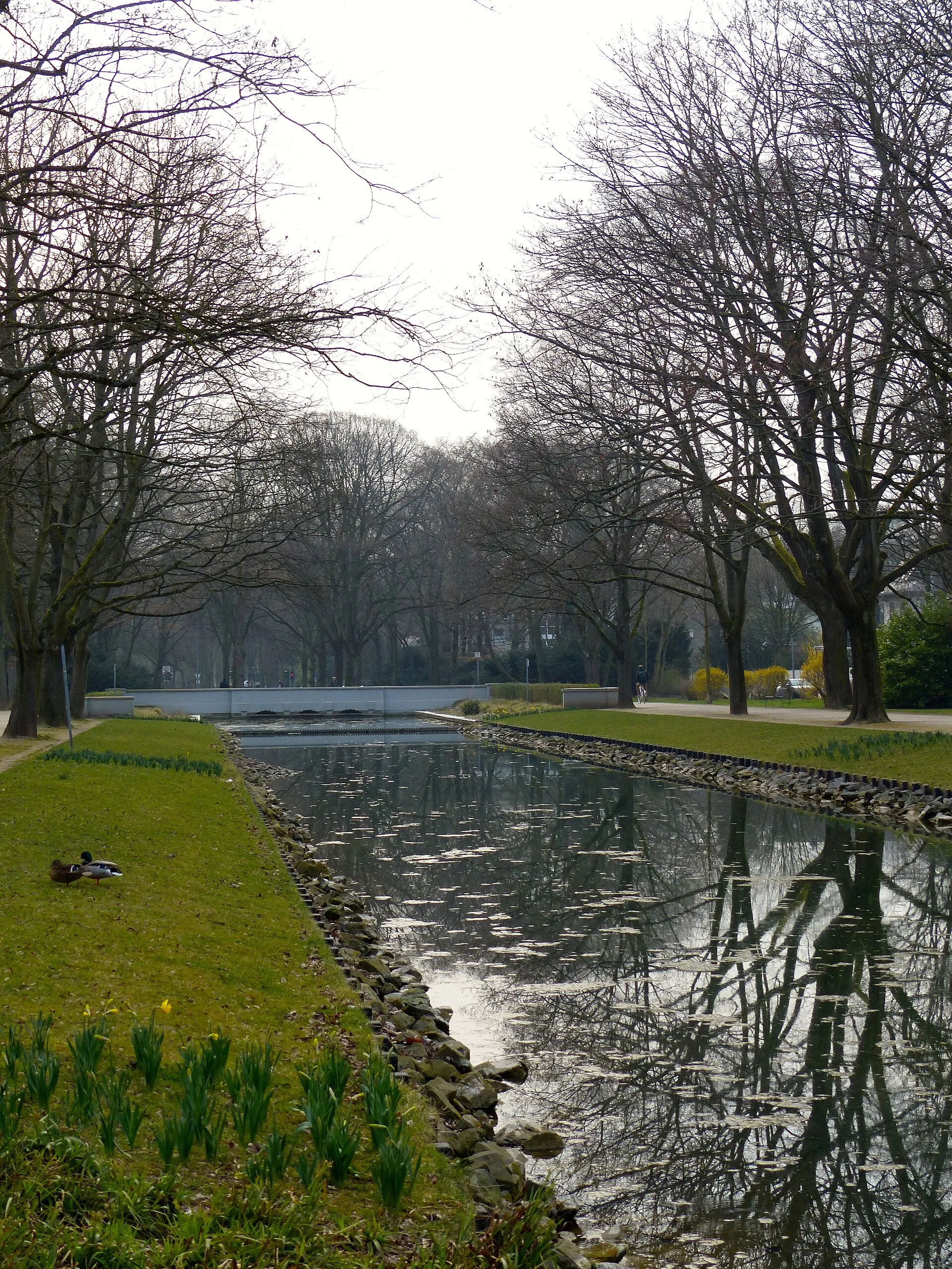 Köln- Lindenthal: Geschützer Landschaftsbestandteil LB 3.02 der Stadt Köln: Rautenstrauchkanal