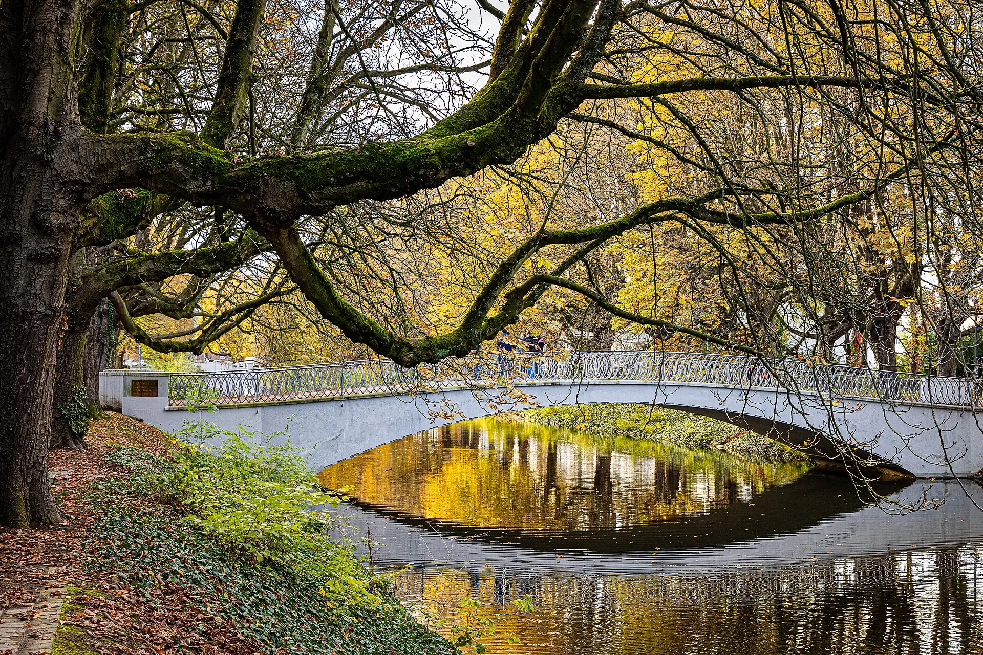 Lindenthaler Kanal / Rautenstrauchkanal mit Brücke im Herbst