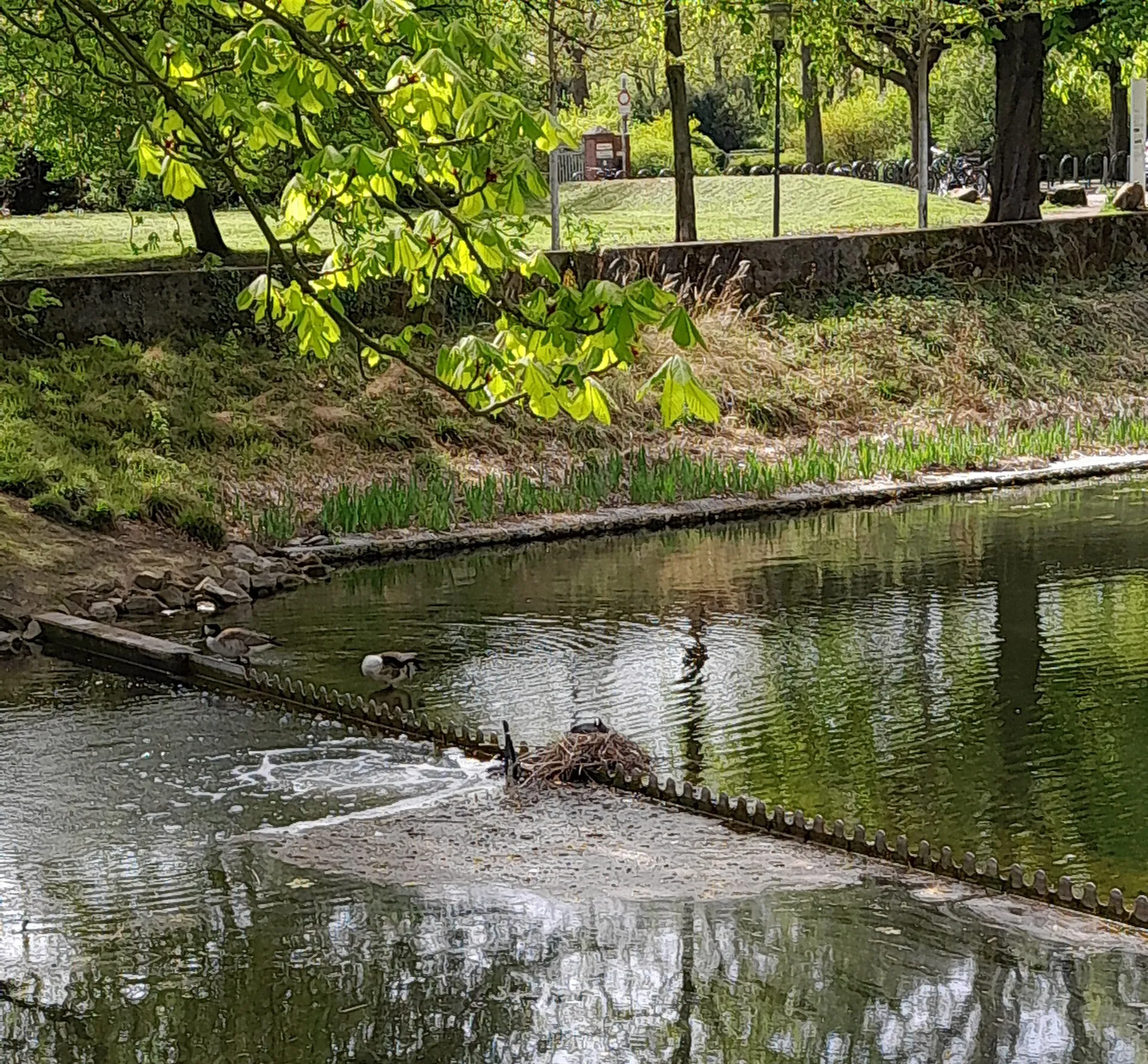 Fischschutzzaun mit Wasseraustritt am Clarenbach-Kanal
