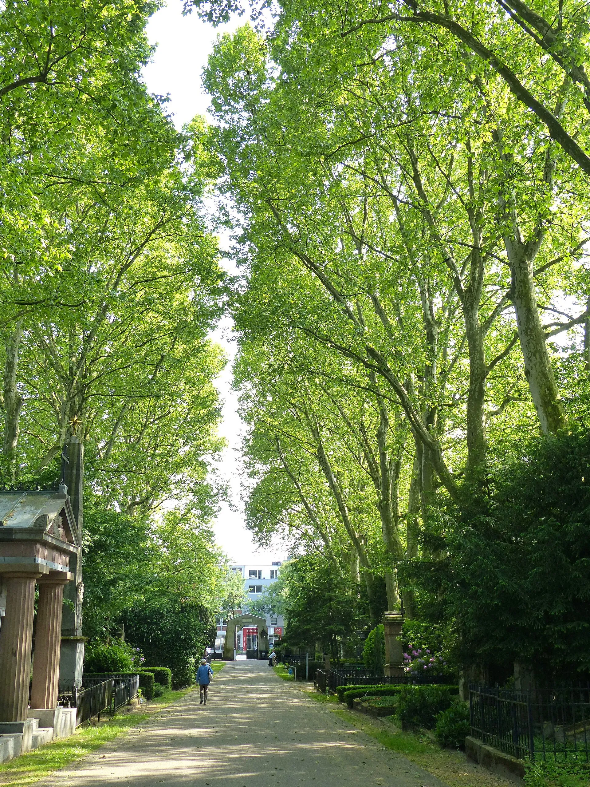 LSG Melatenfriedhof: Hauptweg zur Aachener Straße