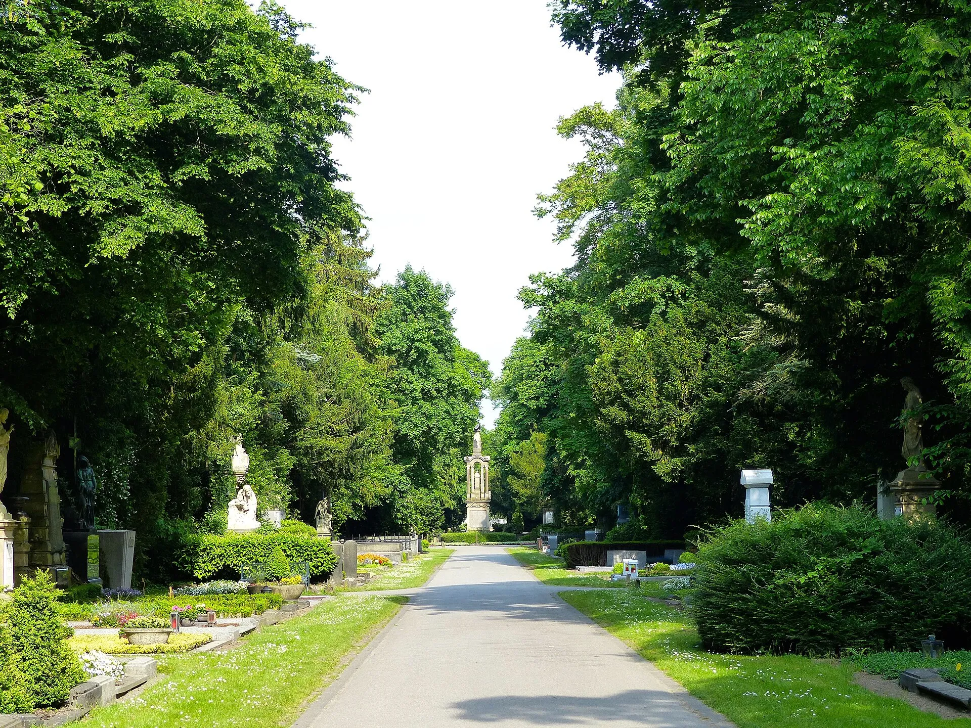 LSG Melatenfriedhof: E-W Hauptweg (Millionenallee) des Friedhofs