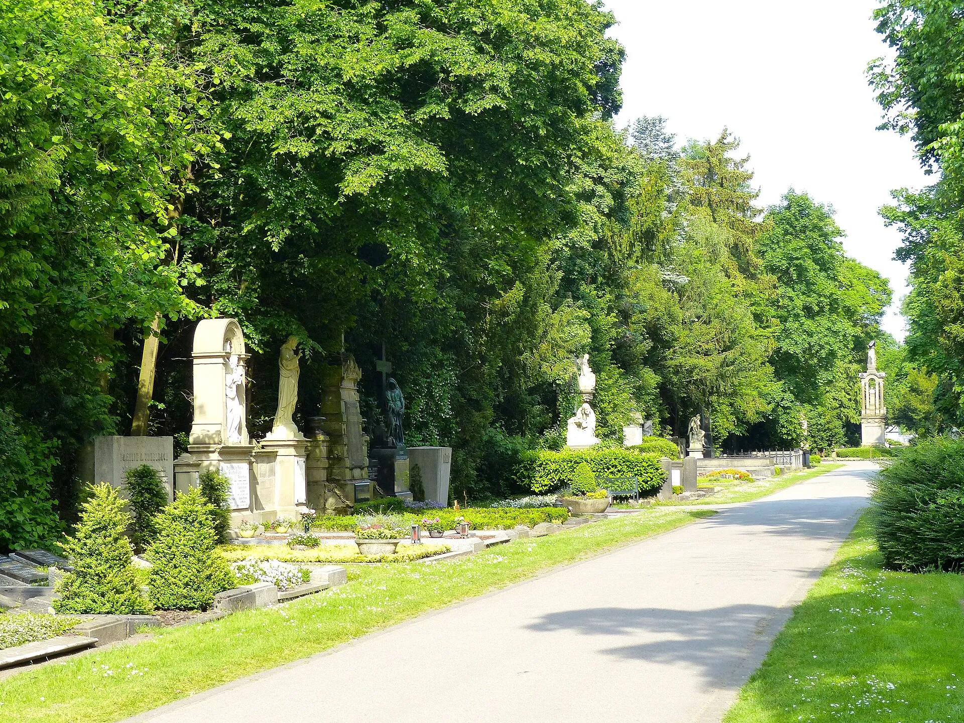 LSG Melatenfriedhof: E-W Hauptweg (Millionenallee) des Friedhofs