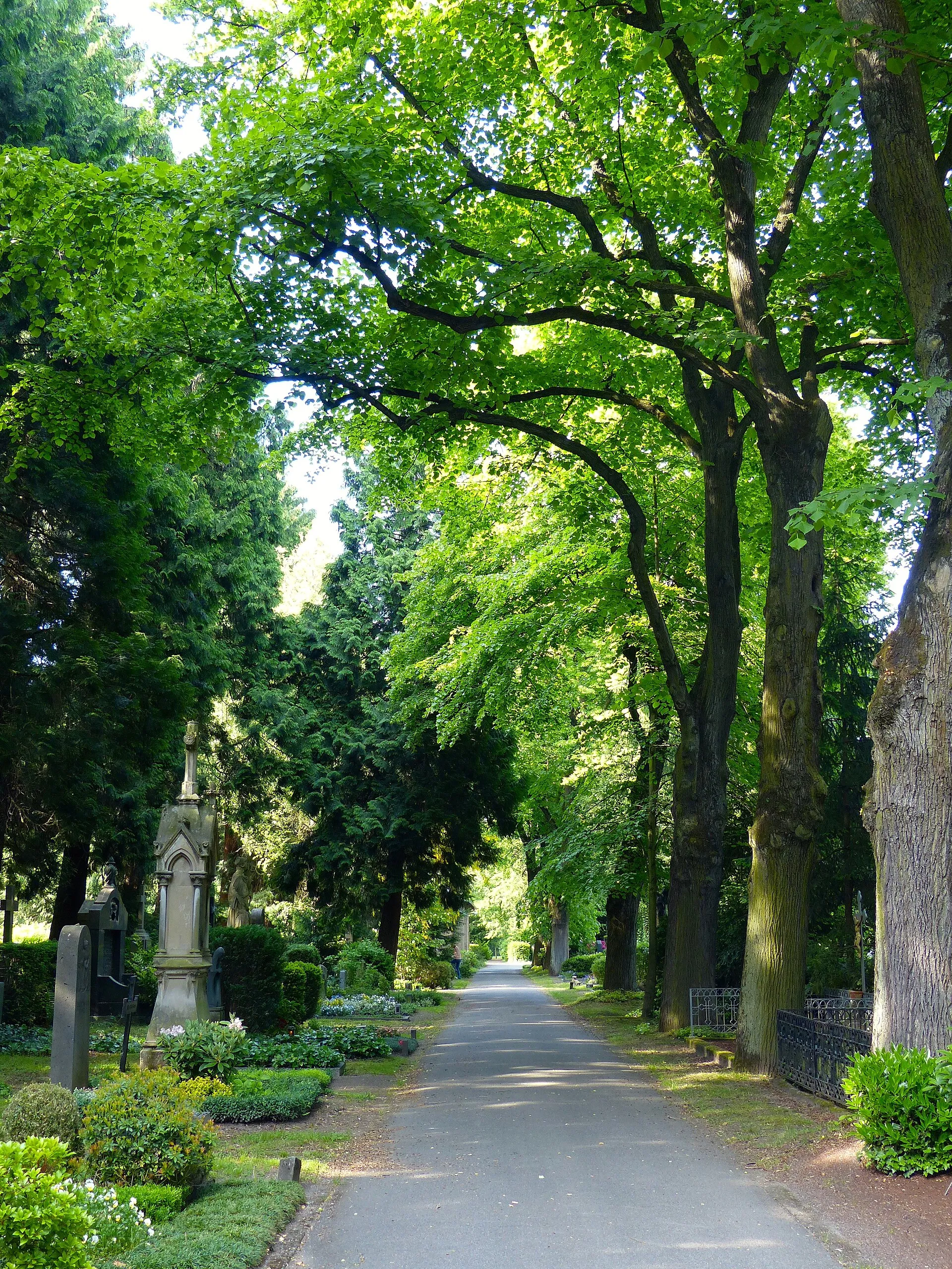 LSG Melatenfriedhof: Weg J