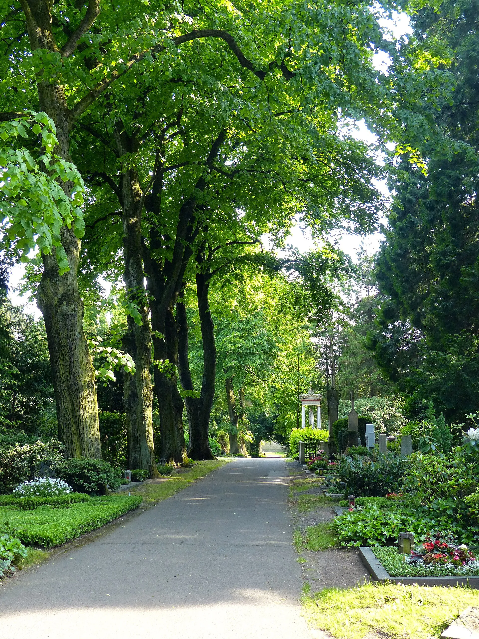 LSG Melatenfriedhof: Weg J