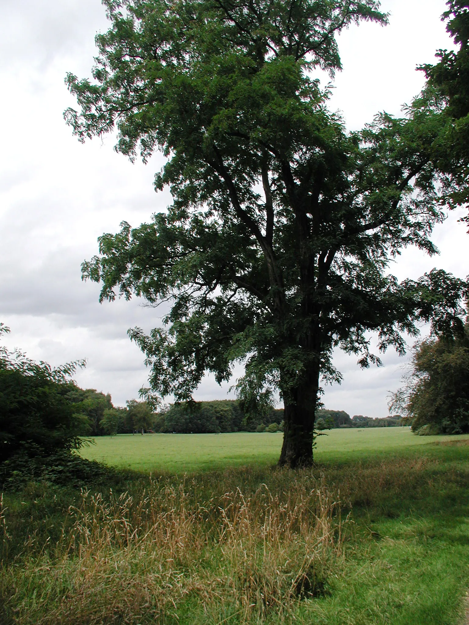 Köln, Merheimer-Heide im Südosten