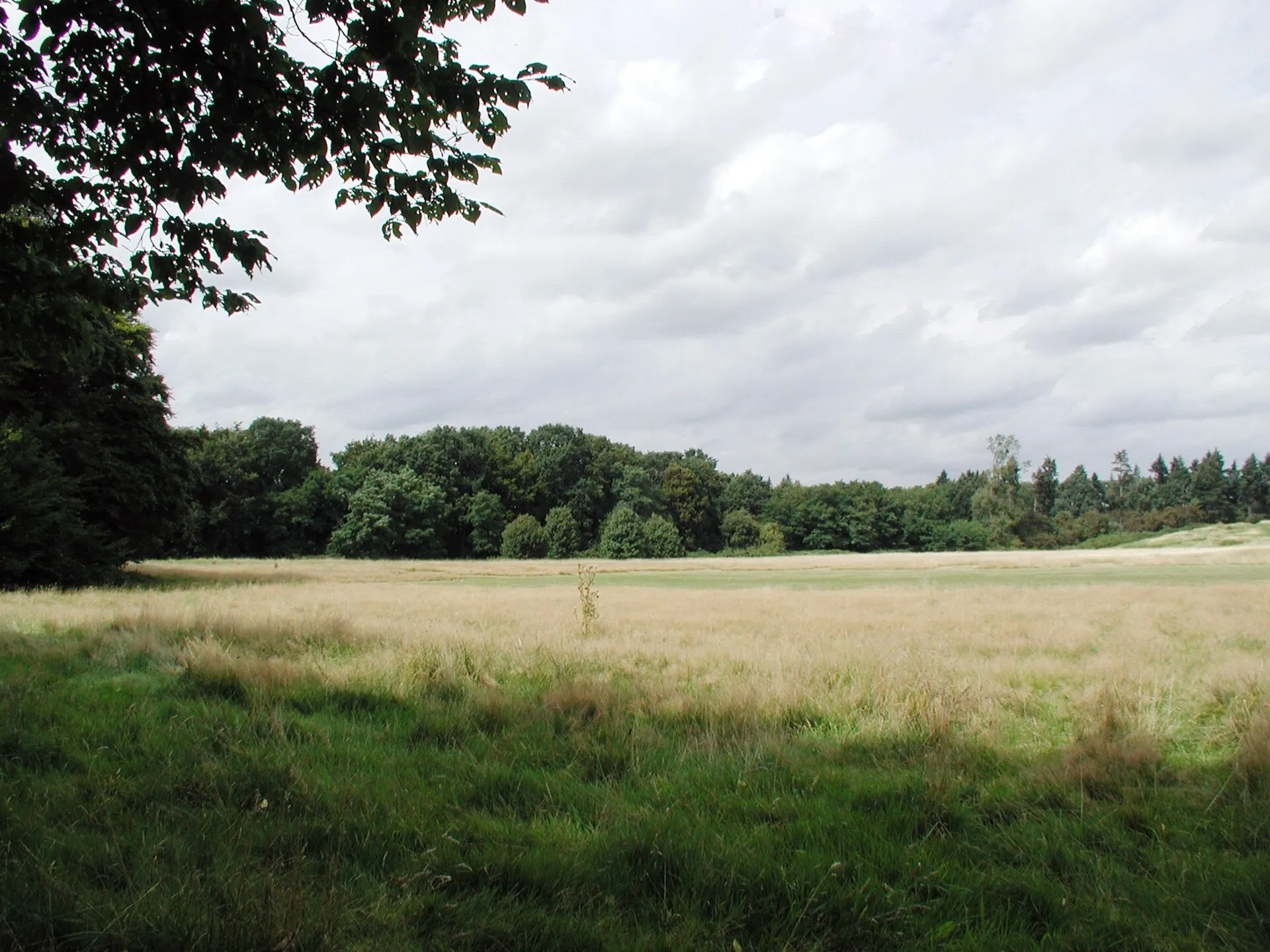 Köln, Merheimer Heide , Binnengelände; Landschaftsschutzgebiet „Merheimer Heide und ehemaliger Festungsgürtel Ostheim bis Mülheim“