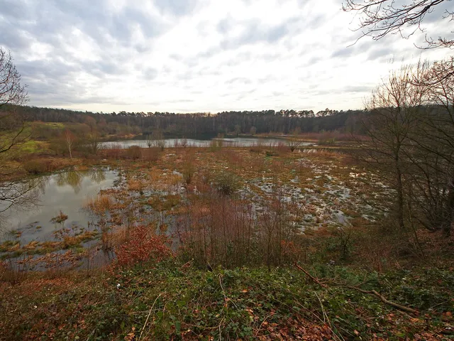 Naturschutzgebiet Am Hornpottweg