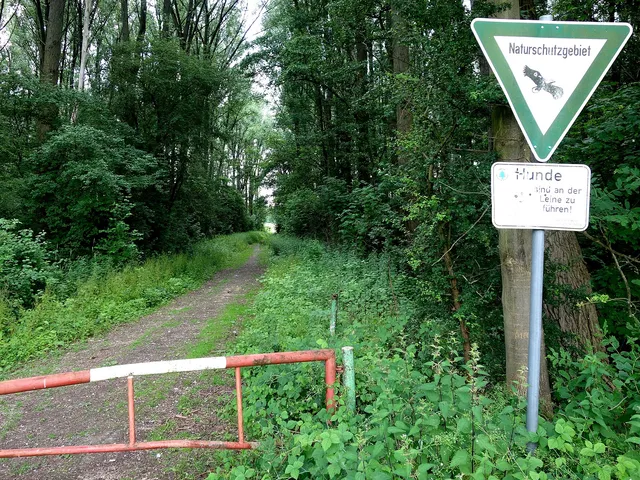 An der Ziegelei