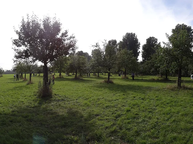 Flittarder Rheinaue