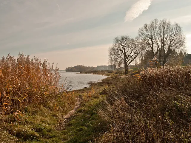 Rheinaue Worringen-Langel