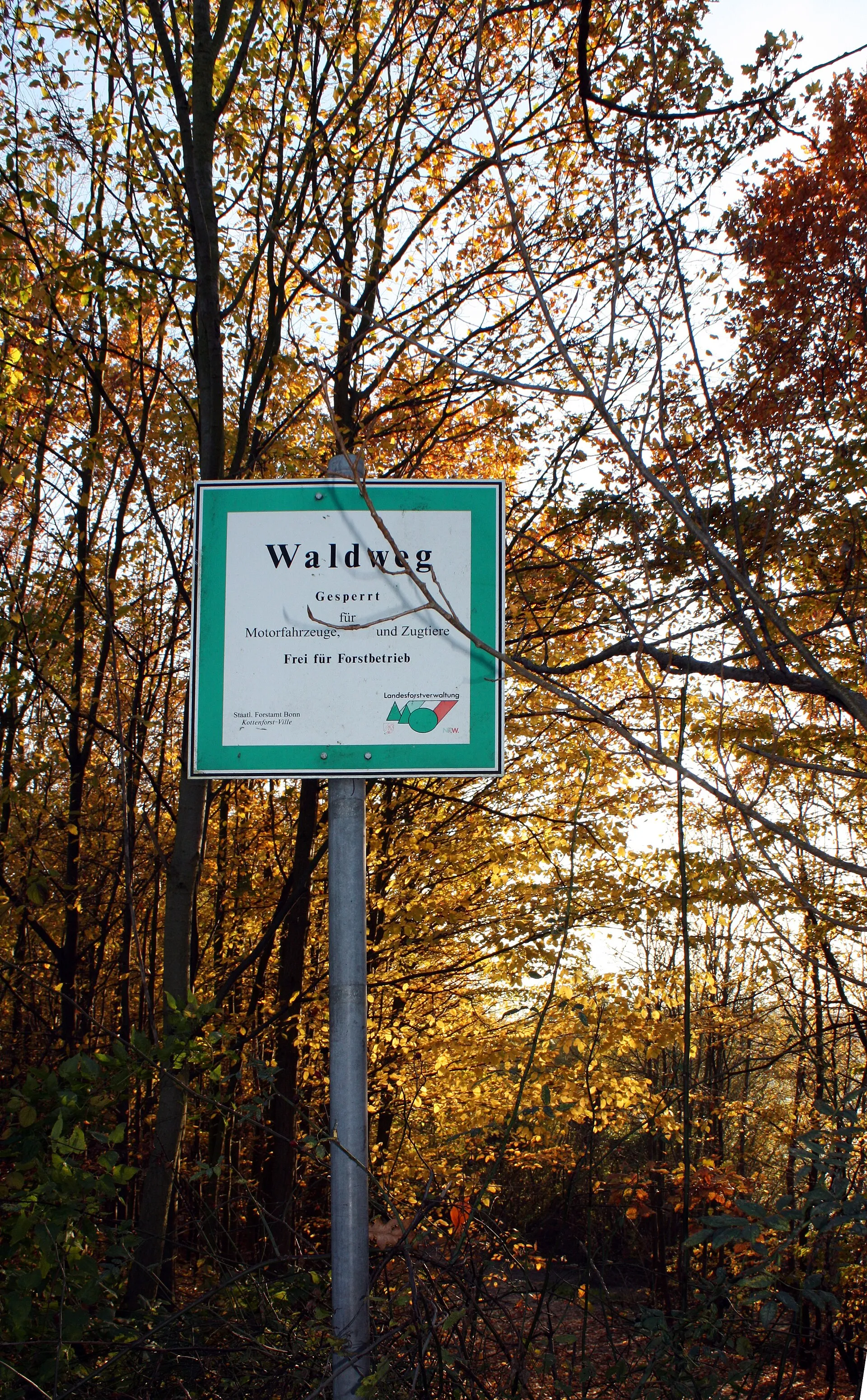 Otto-Maigler-See Hürth, Rundweg