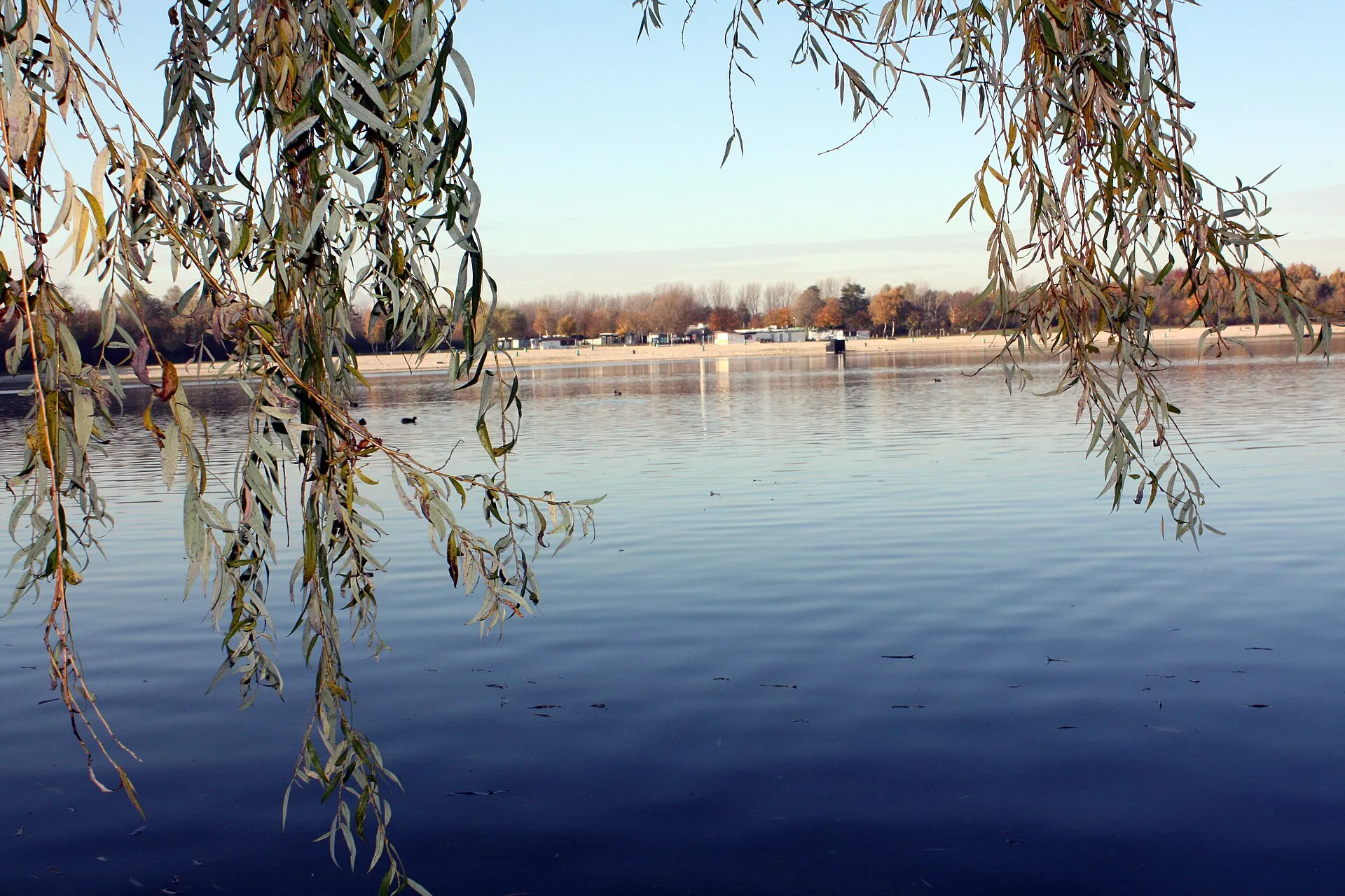 Otto-Maigler-See Hürth, Blick zur Nordseite