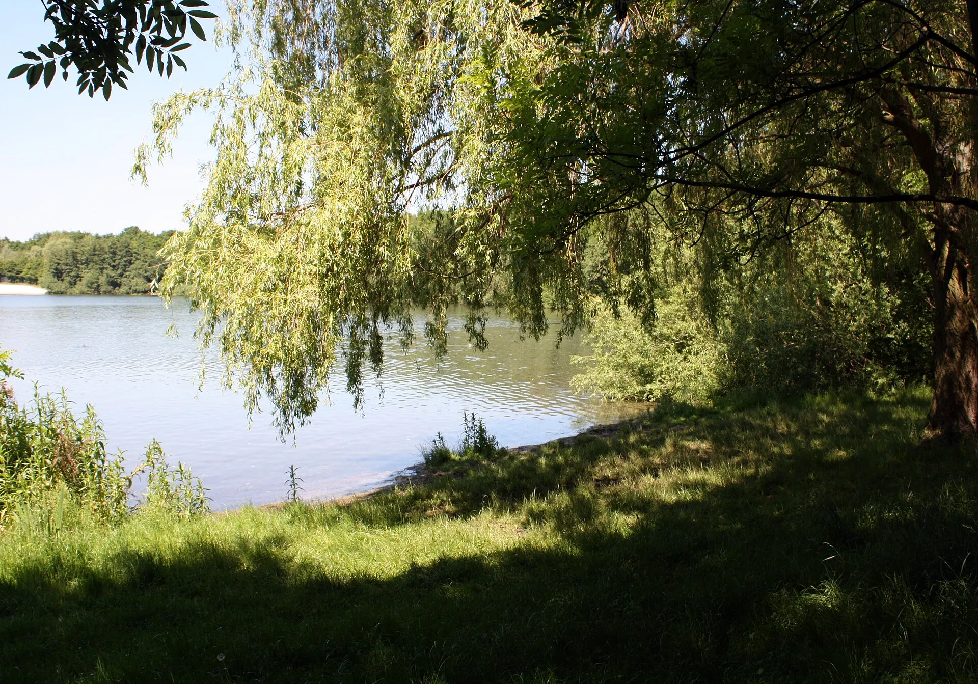 Otto-Maigler-See Hürth, Uferbereich Süd-Ost