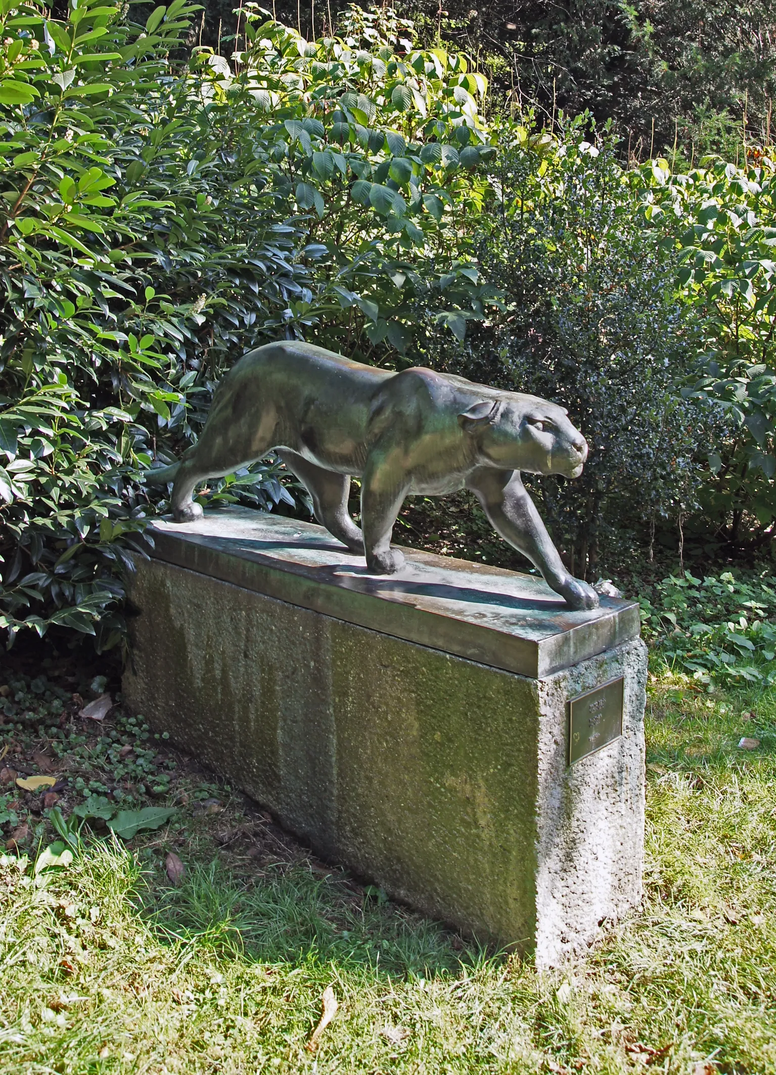 Panther