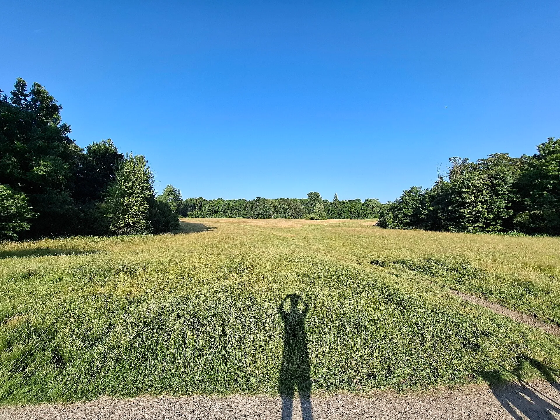 Parkweiher (Raderthal)